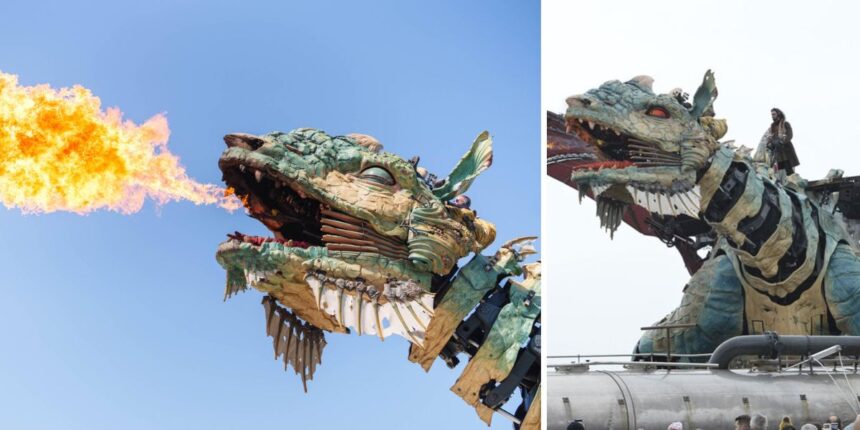 dragon of calais manœuvrer le dragon sleep