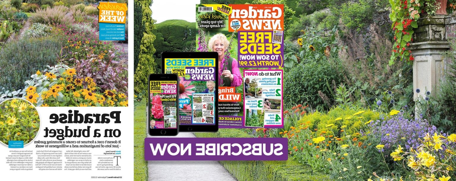 mywirelesscoupons.com garden