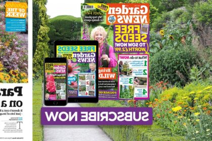 mywirelesscoupons.com garden