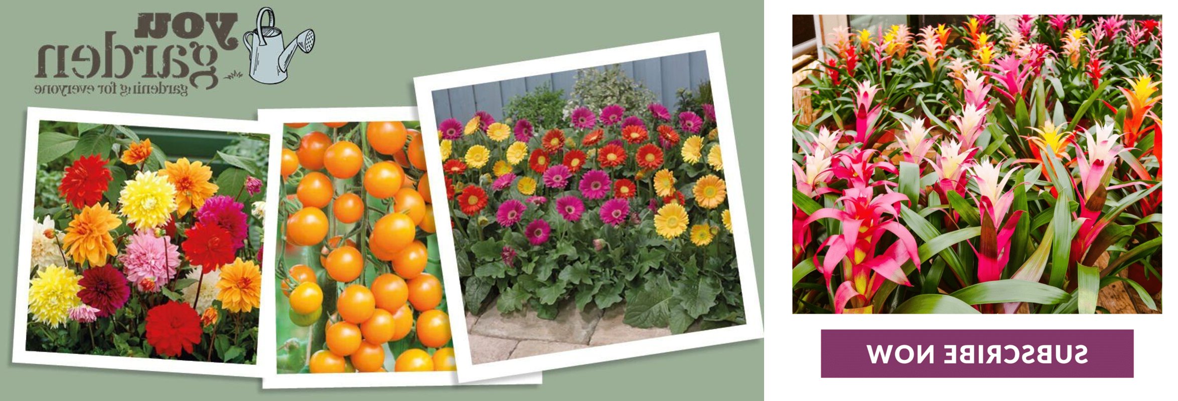 mywirelesscoupons.com garden