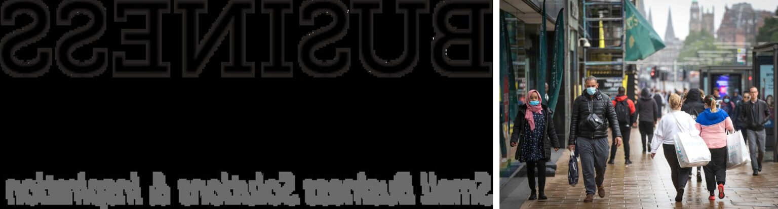 business guide dismoneyfied