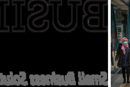 business guide dismoneyfied