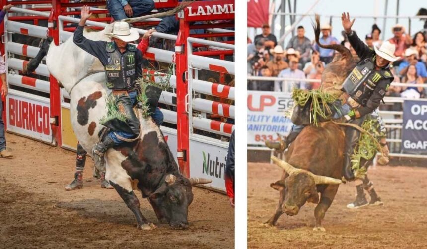 jb mauney
