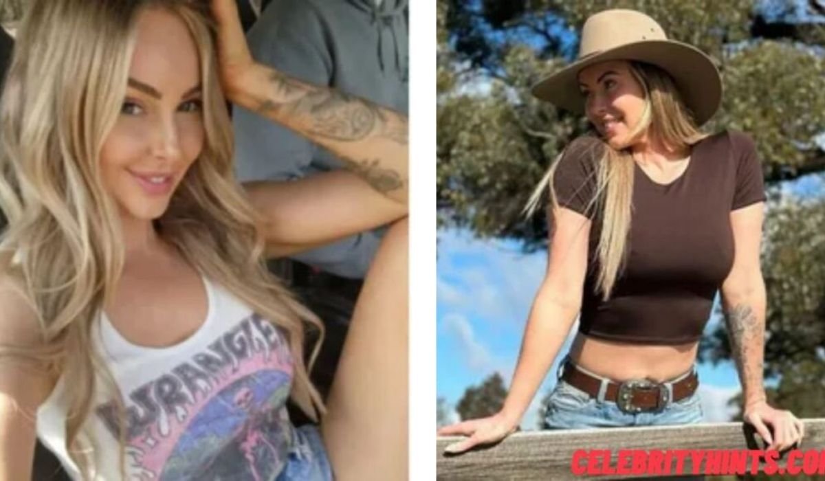 taylor breesey net worth
